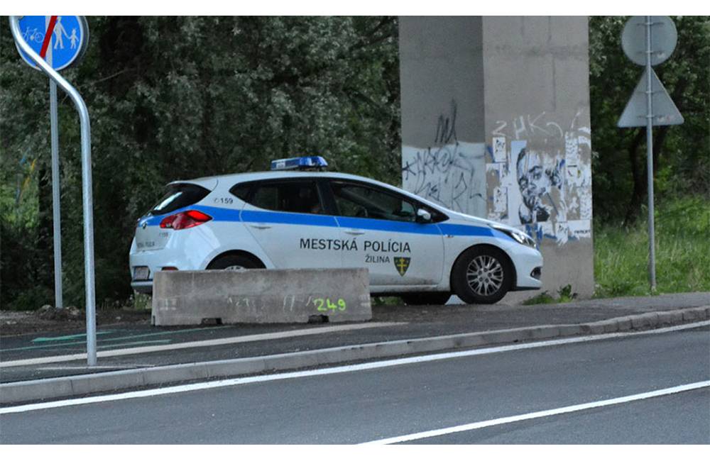 Foto: Mestskí policajti v júli pomáhali mužom po záchvate, vyháňali z dvora diviaka aj odchytávali sokola