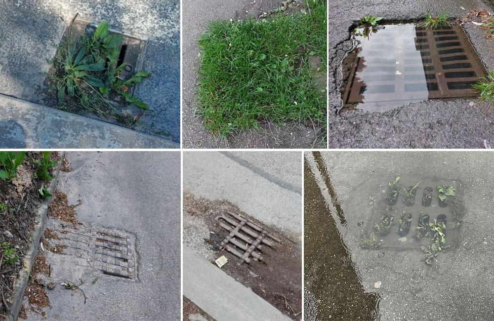 FOTO: Dažďovej kanalizácii v Žiline chýba pravidelná údržba, na mnohých miestach je úplne upchatá