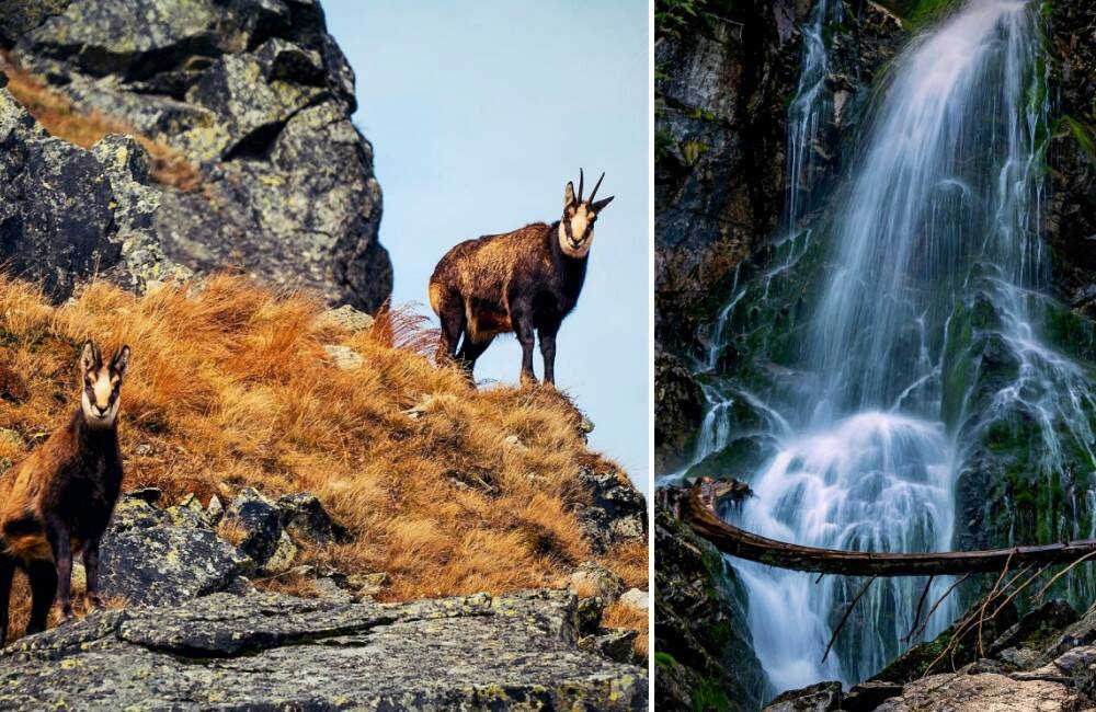 FOTO: Oravské pohorie ukrýva množstvo farieb, života a turistických trás