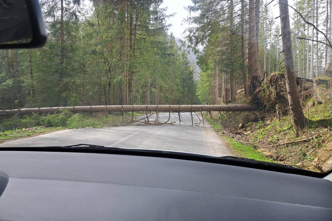 Foto: V Žilinskom kraji od rána padajú stromy, cesty na Orave sú neprejazdné