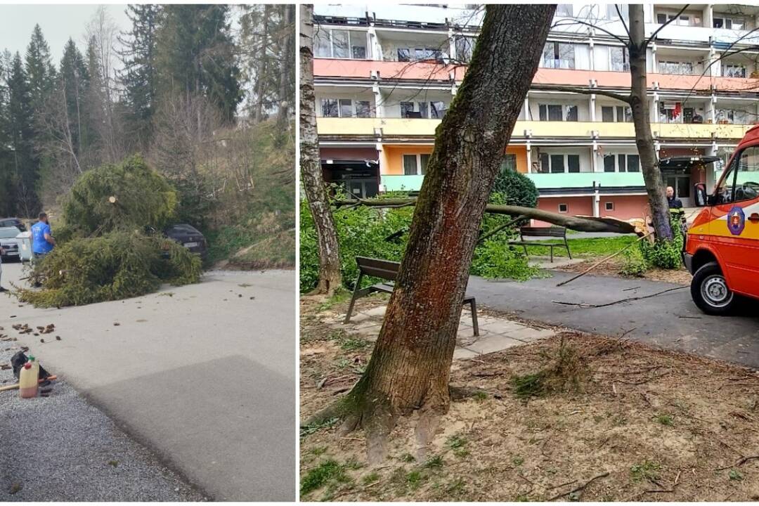 Foto: Stromy padajú na žilinských sídliskách aj na vozidlá, vietor strhol niekoľko striech