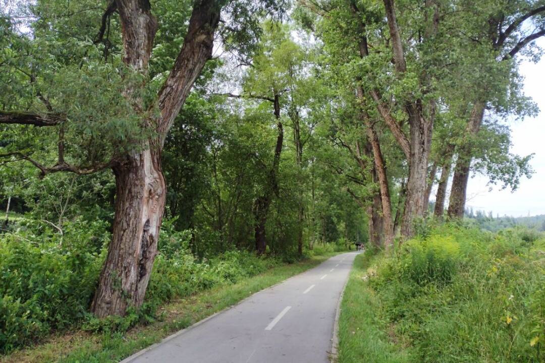 Foto: Plánujete na 1. mája cyklistiku? Po cyklotrase na Kysuciach v tomto úseku neprejdete