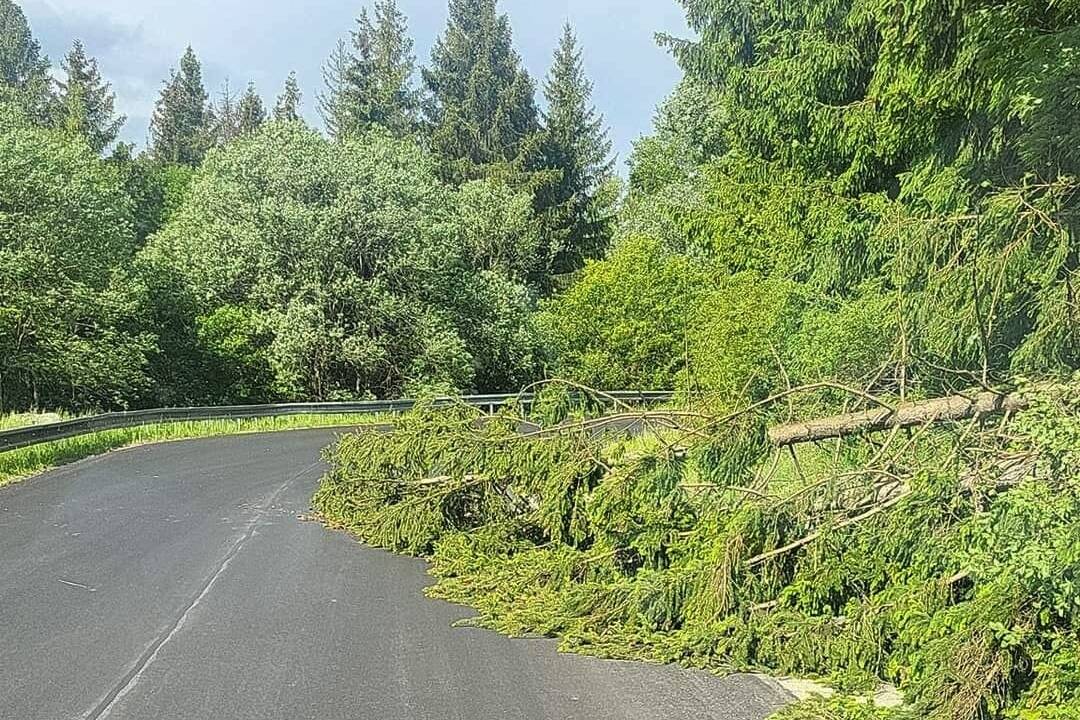 Foto: V Žilinskom kraji sa zodvihol poriadny vietor, cesty zablokovali stromy. Zlomený konár takmer trafil ženu