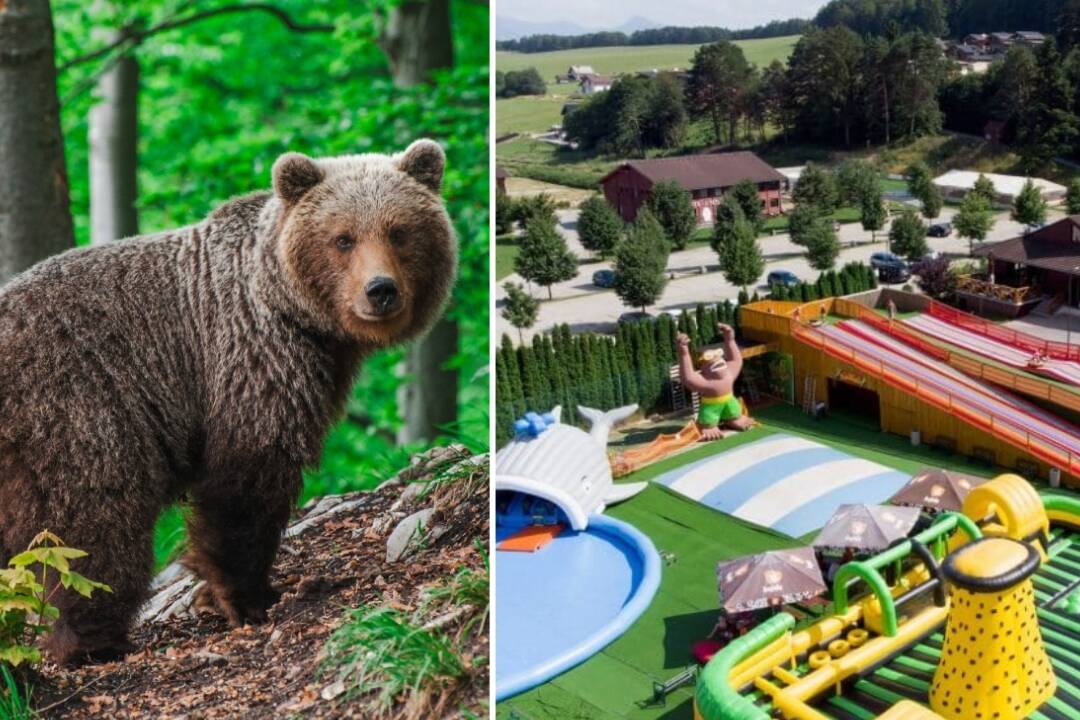 Foto: V obľúbenom rodinnom stredisku pri Martine sa pohybuje medveď, situáciu monitoruje polícia