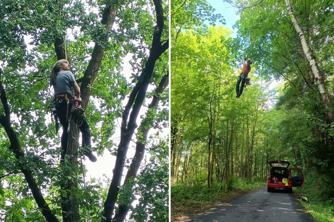 Foto: Vstup do lesoparku je počas augusta na vlastné riziko. Ak uvidíte zo stromov visieť ľudí, vyhnite sa im