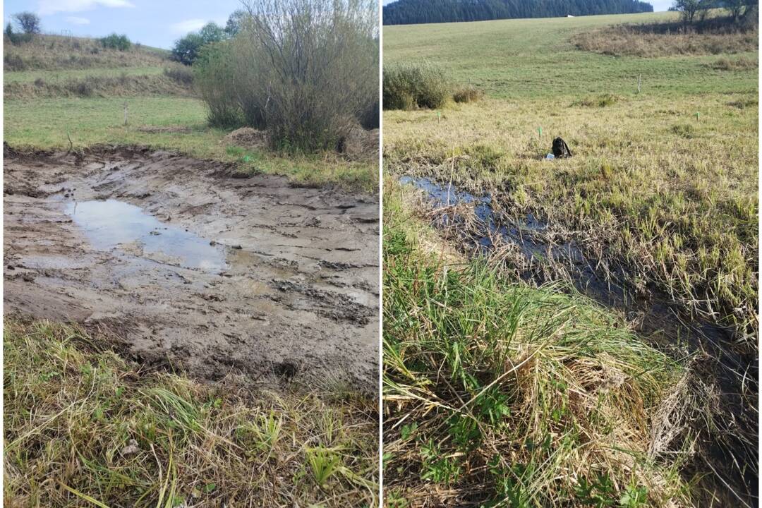 FOTO: V Čičmanoch chcú vybudovať dve vyhliadkové móla. Pozorovať z nich budeme unikátnu mokraď