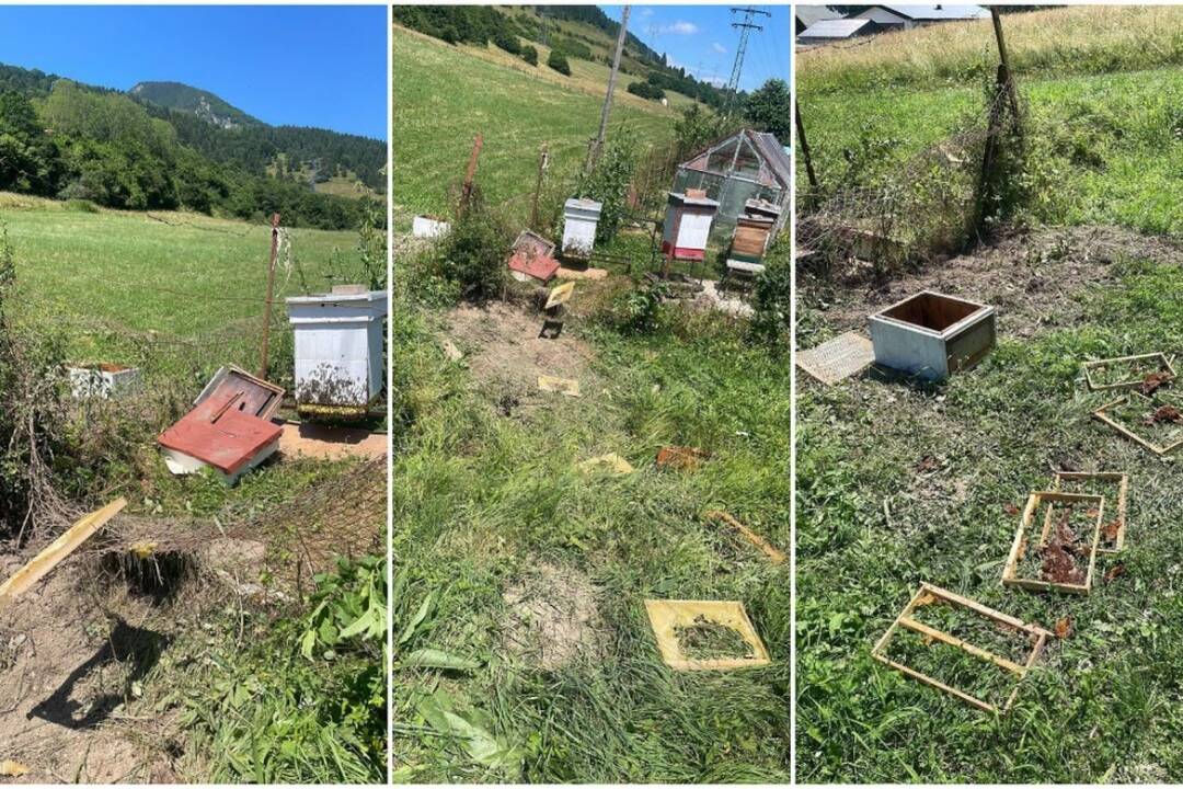 Foto: Cintorín v Ružomberku zabezpečili proti medveďom. Zásahový tím je v zvýšenej pohotovosti