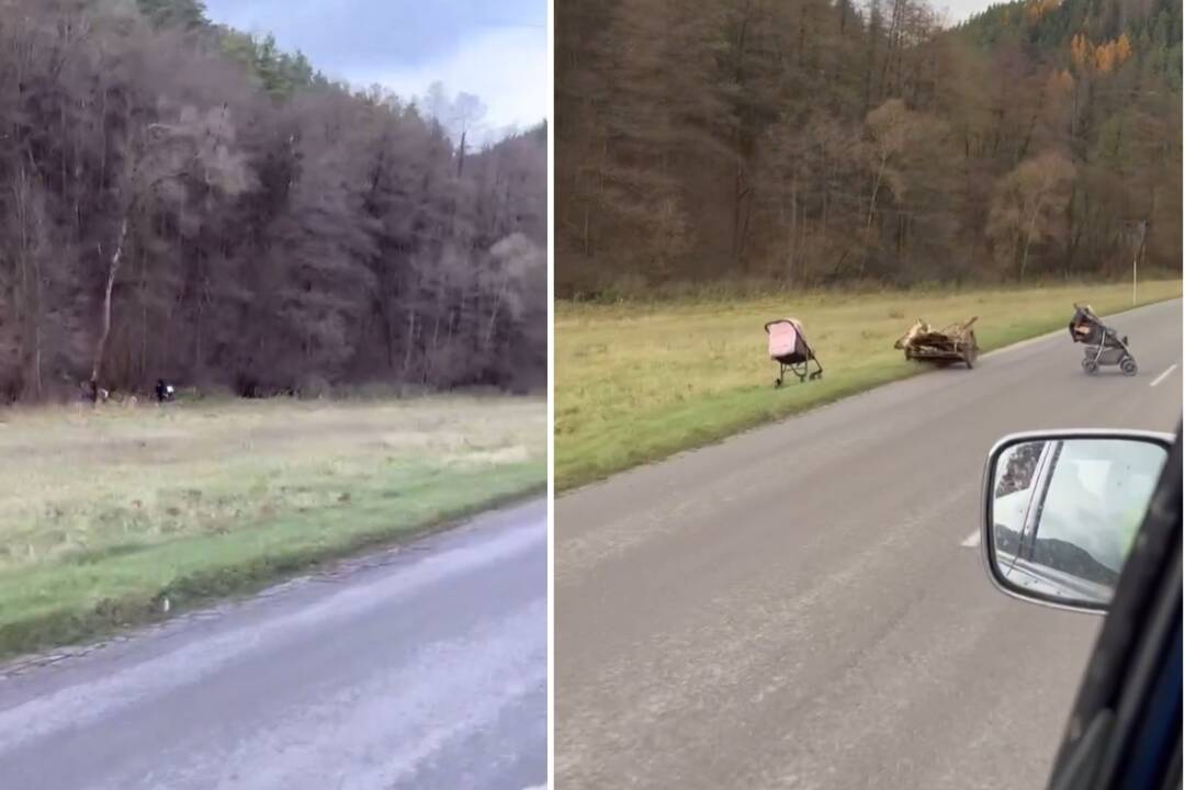 Foto: VIDEO: Cestu pri Žiline blokujú kočíky a kára plné dreva. Ťažia ho neznáme osoby v blízkom lese