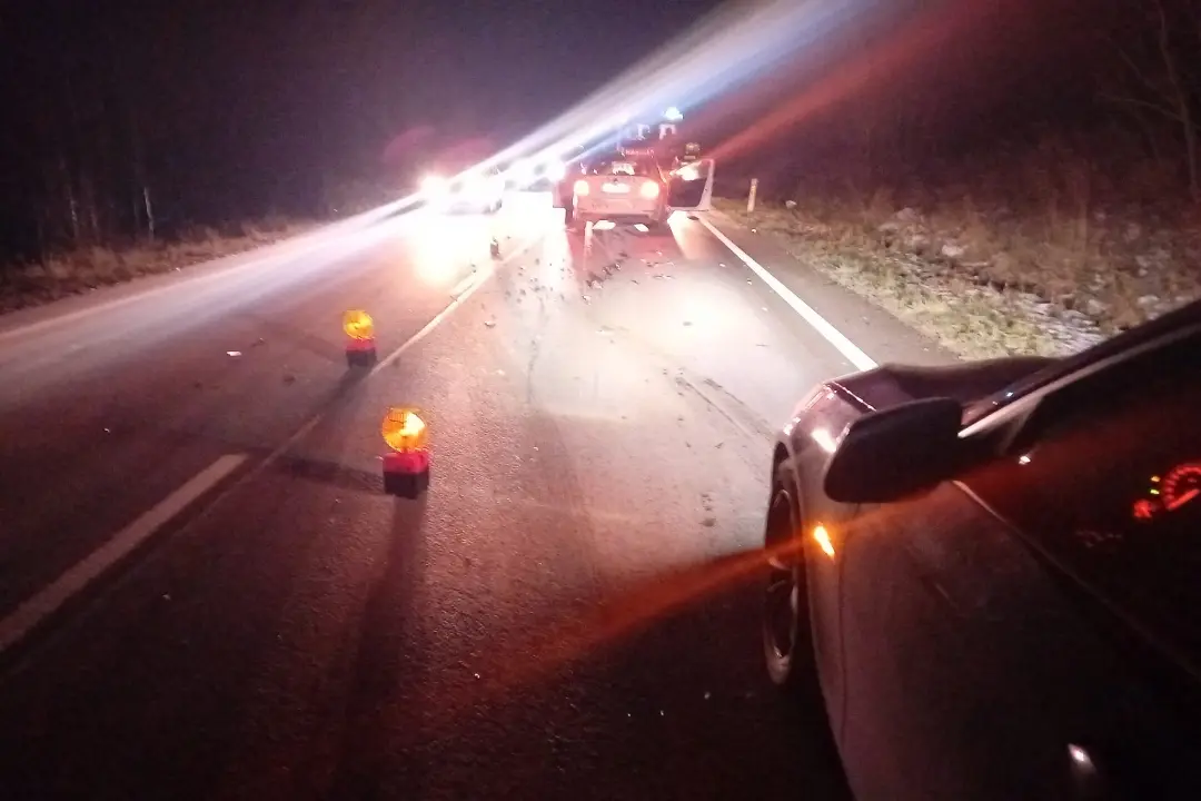 Foto: Na Orave mal nehodu taxikár. Zrazil divú zver, ktorá mu skočila do cesty