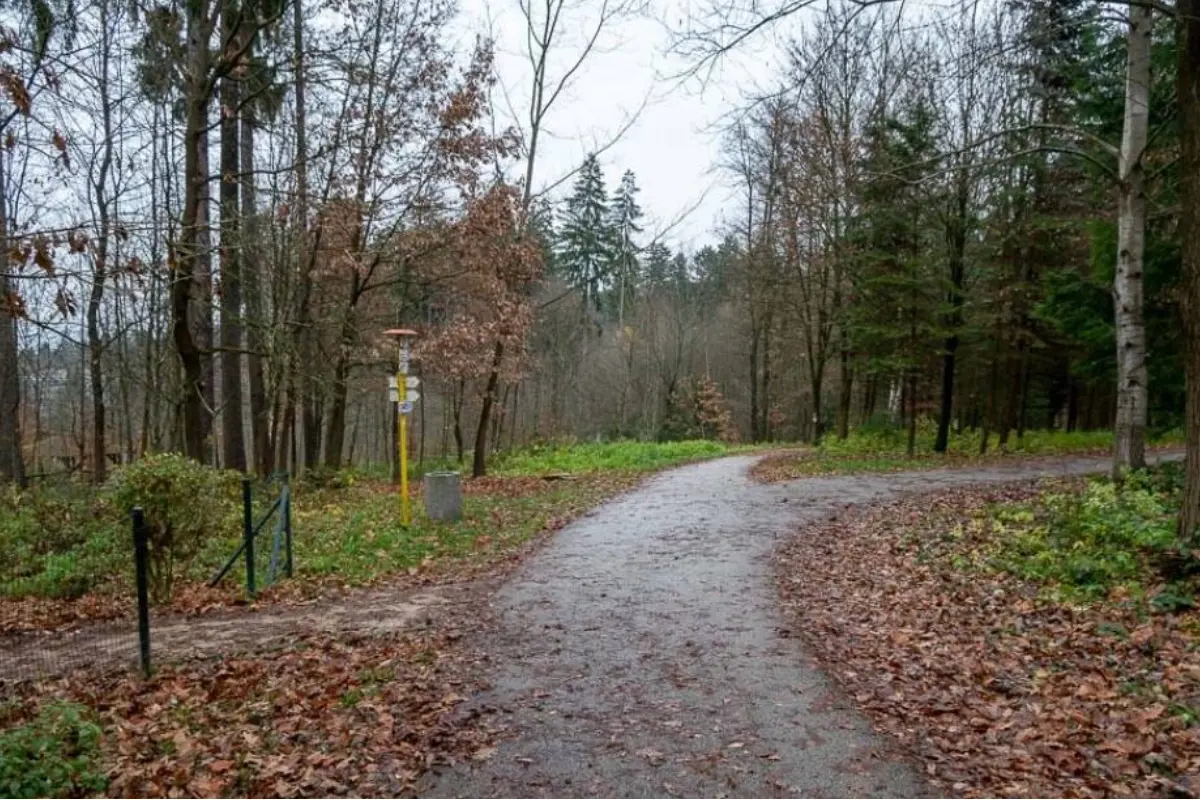 Foto: V žilinskom Lesoparku Chrasť napadli psy iné zvieratá. Mesto zvýši policajné kontroly