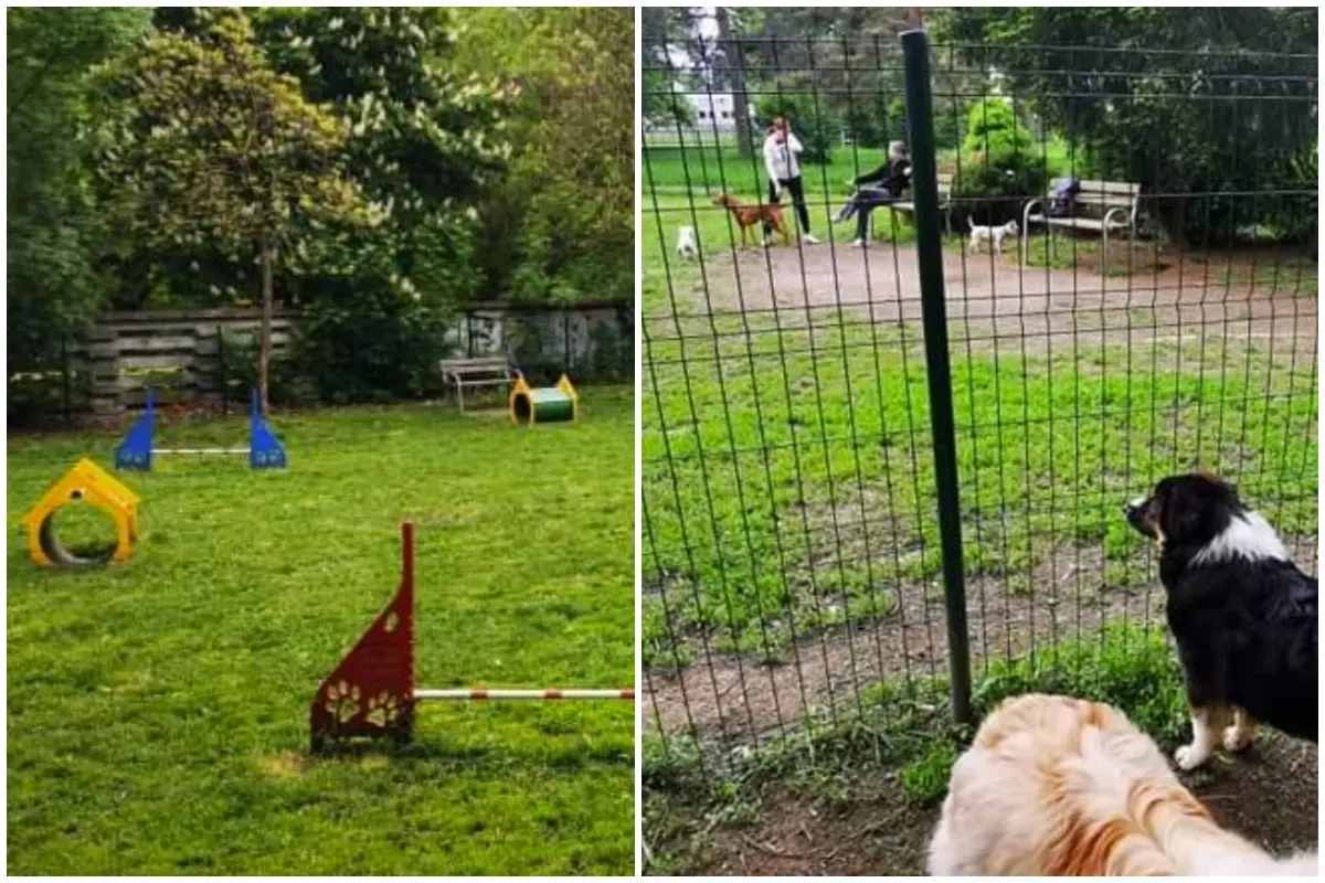 Foto: Na Vlčincoch vybudujú oplotené venčovisko pre psy za 27-tisíc eur. Výstavba má začať na jar