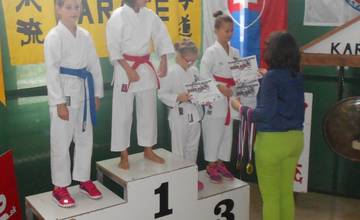 Karate Klub AC Uniza Žilina získal na majstrovstvách Stredoslovenského zväzu karate 9 medailí