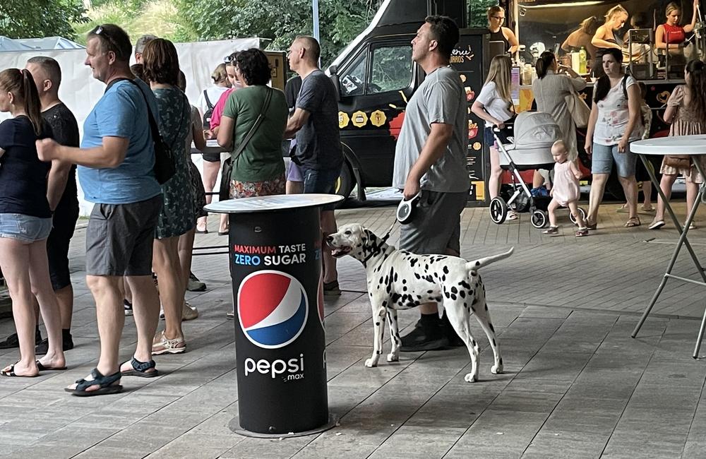 FOTO: Žilinský Street Food Park so skvelým výberom jedla aj nápojov, foto 12