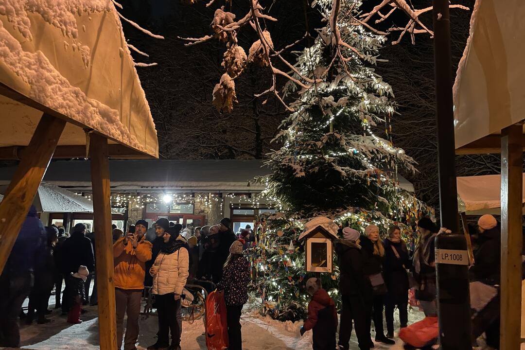 FOTO: V žilinskom lesoparku rozsvietili vianočný stromček, foto 10