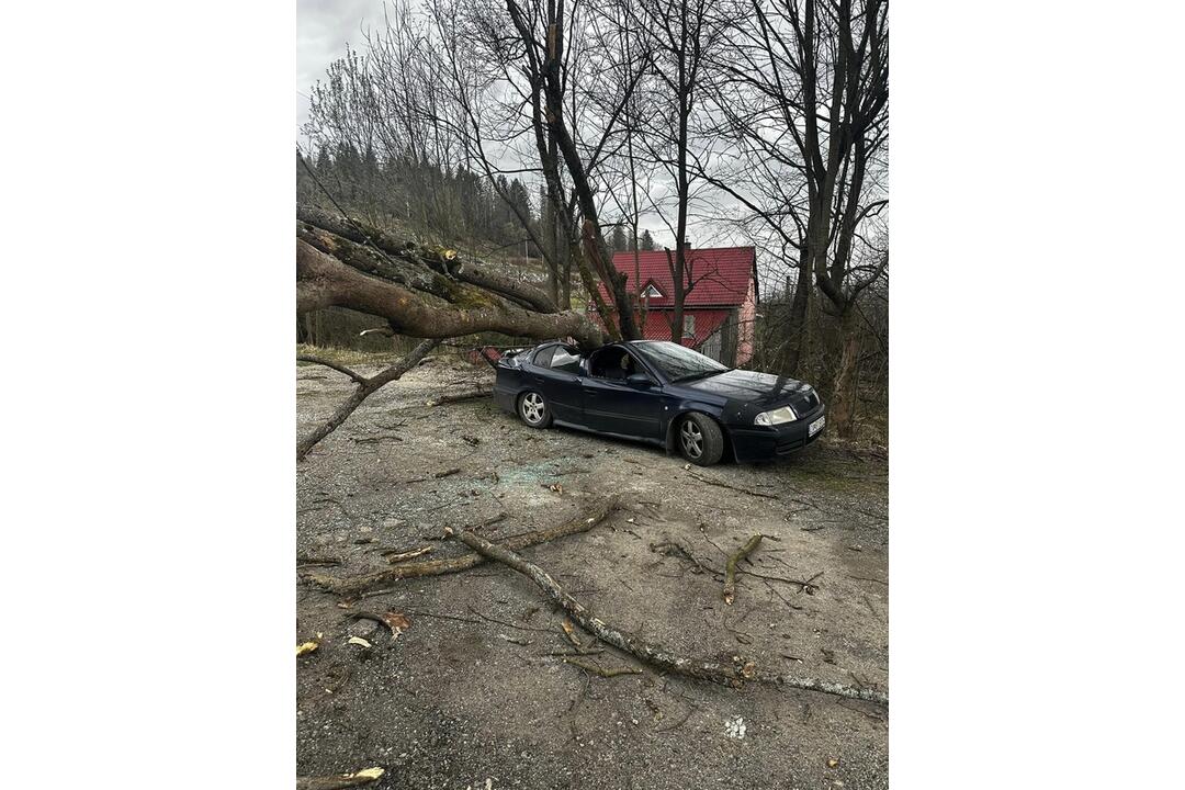 FOTO: Škody, ktoré spôsobil vietor v Žilinskom kraji, foto 6