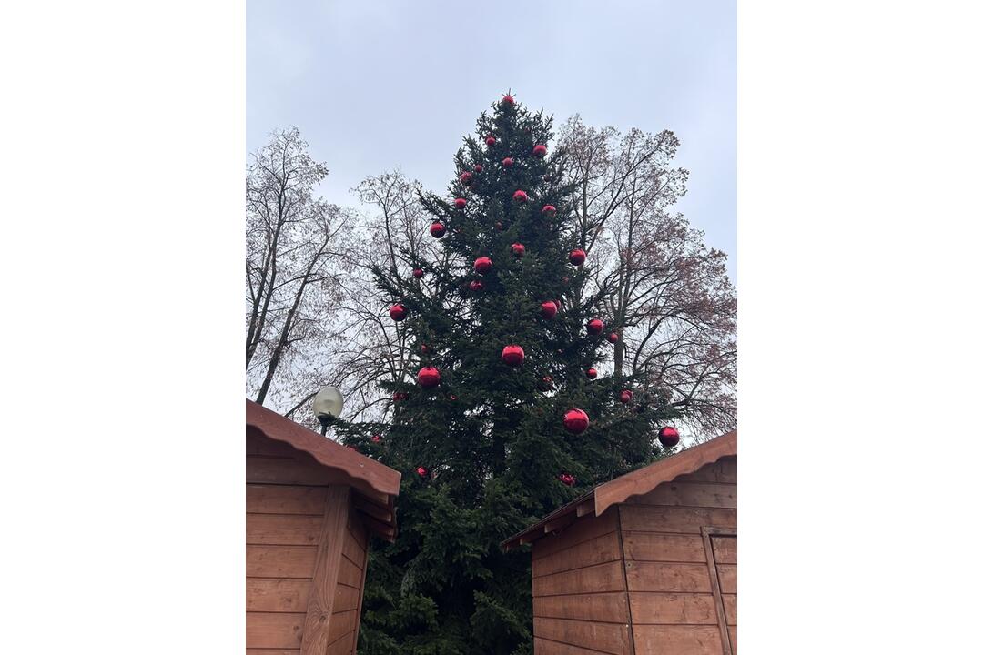 FOTO: V Žiline vrcholia prípravy na vianočné trhy. Na námestie nainštalovali svietiacu guľu, foto 8