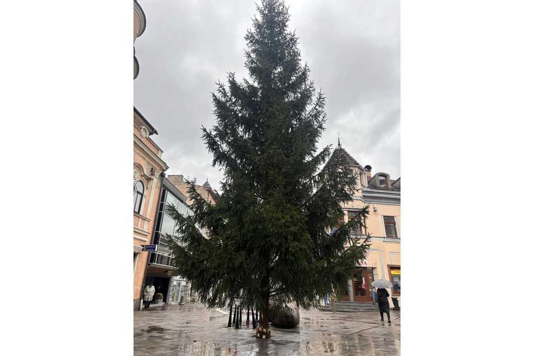 FOTO: Vianočný stromček už skrášľuje centrum ďalšieho mesta na Liptove, foto 11